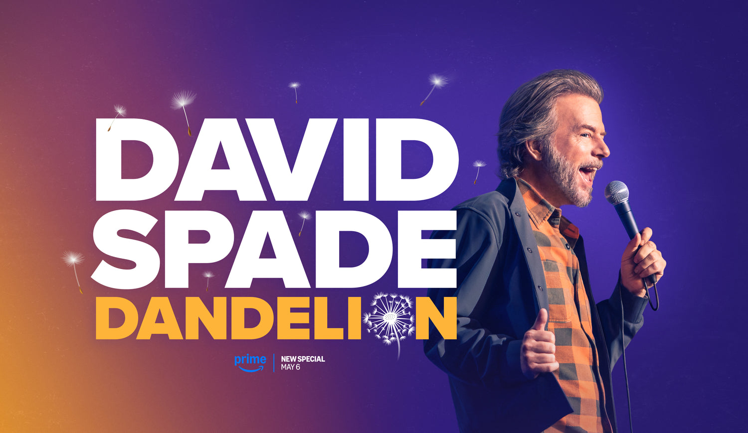 Photo: Press kit, David Spade David Spade